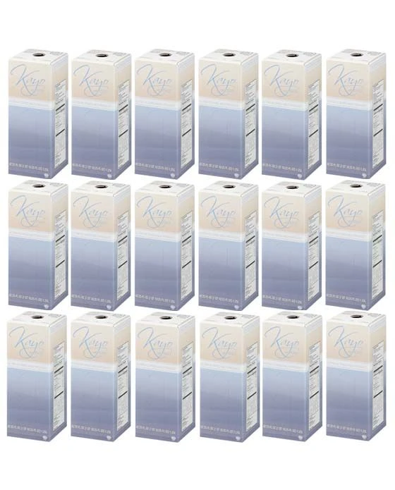 Kayo 1.25 Liter Cafi-Lait Milk Concentrate (Eighteen) 1 Kayo 1.25 Liter Cafi-Lait Milk Concentrate (Eighteen)