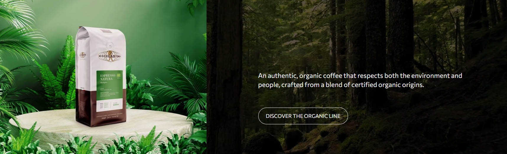 Coffee Series Store -Coffee Series Store rtyry